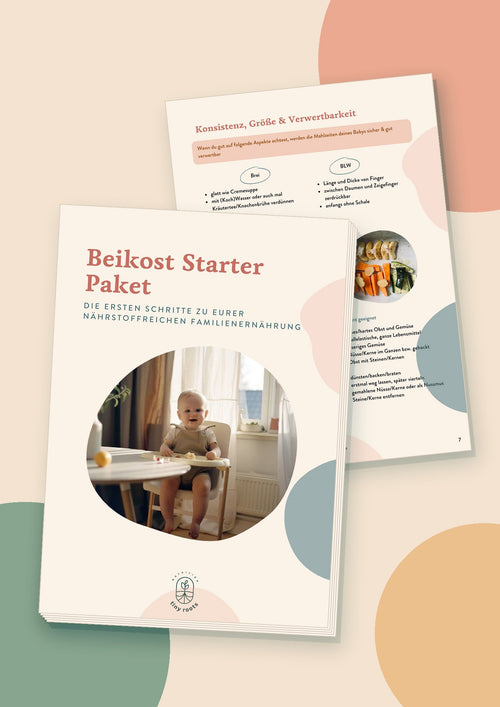 Beikost Starter Paket: Titelbild und Beispielseite