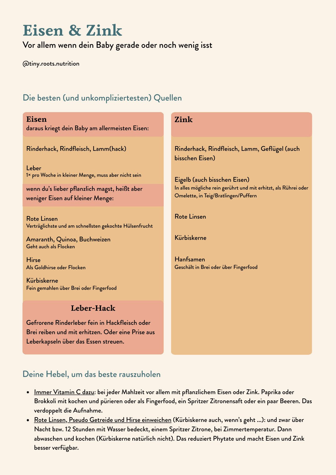 Erste Seite des PDFs Eisen & Zink fürs Baby
